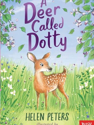 A Deer Called Dotty — children's book at the Tiny Bloom bookshop in Frinton-on-Sea