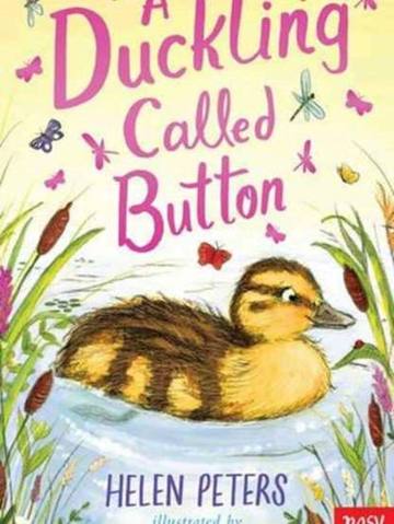 A Duckling Called Button — children's book at the Tiny Bloom bookshop in Frinton-on-Sea