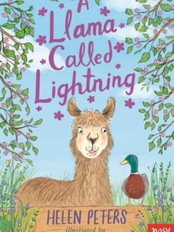 A Llama Called Lightning — children's book at the Tiny Bloom bookshop in Frinton-on-Sea