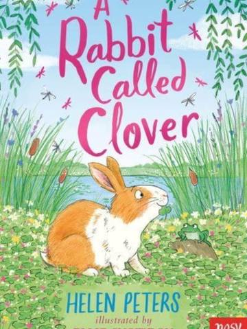 A Rabbit Called Clover — children's book at the Tiny Bloom bookshop in Frinton-on-Sea